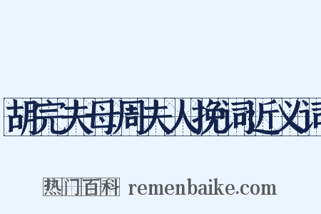 胡完夫母周夫人挽词近义词是什么意思的图片